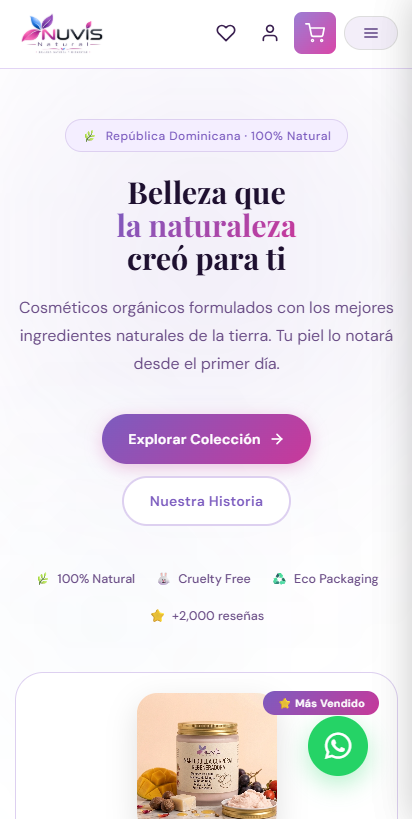 Sitio web de servicios de limpieza